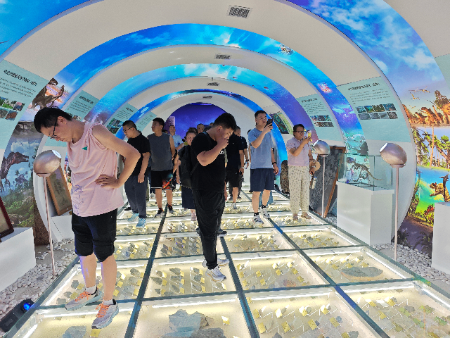 图片10_compressed.png