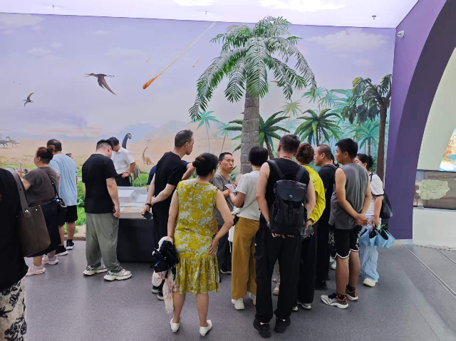 图片11_compressed.png